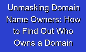Unmasking Domain Name Owners: How to Find Out Who Owns a Domain