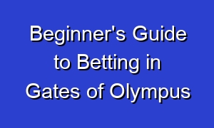 Beginner's Guide to Betting in Gates of Olympus