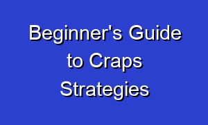Beginner's Guide to Craps Strategies