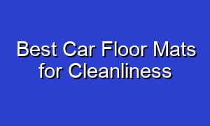 Best Car Floor Mats for Cleanliness