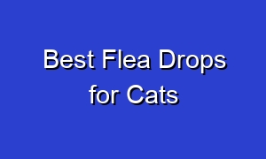 Best Flea Drops for Cats