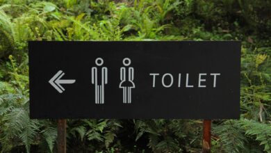 Best Toilets for Efficient Bathrooms
