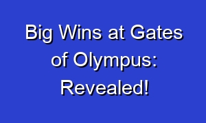 Big Wins at Gates of Olympus: Revealed!