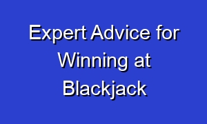 Expert Advice for Winning at Blackjack