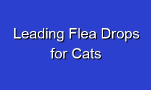 Leading Flea Drops for Cats