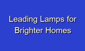 Leading Lamps for Brighter Homes