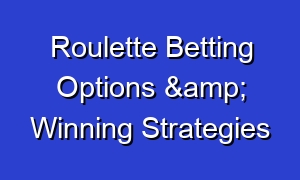Roulette Betting Options & Winning Strategies