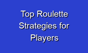 Top Roulette Strategies for Players